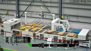 Pallet Robot For Machine Packing Carton/Pizza Box After RDC Counting Stacker Output