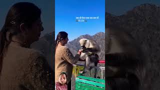 jai shree Ram ♈||Vlog with Monika2.0|| #love #monkey #funny #comedy #animals #song #devotional