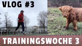 75km Trainingswoche! - Road to Ultramarathon - Vlog #3 #running #marathon #laufen