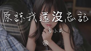 袁小葳 - 原諒我還沒忘記『原諒我還沒有忘記你的名字』【動態歌詞Lyrics】