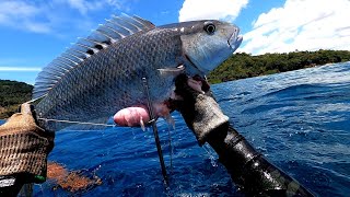 Panah Ikan Di Laikang Spotnya Banyak Target