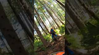 Trailblazing in the Old Growth Graveyard #ktm300 #enduro #ktm #dirtbike