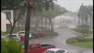 Hurricane Irma in Boca Raton: Torrential rain and heavy wind in late afternoon