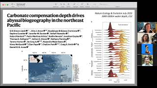 COBRA Webinar Series – Update on deep-sea mining negotiations and addressing knowledge gaps...