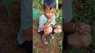 Makan Buah Iblis (cendet cendet no mi) #shortvideo