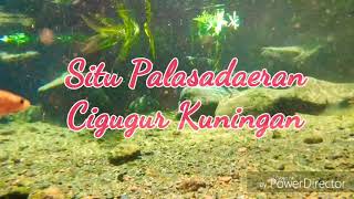 Setu Palasadaeran Cigugur Kuningan Jawa Barat