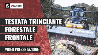 Testata trinciante forestale frontale Force One | Cangini Benne