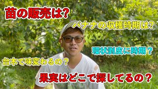 【新企画】皆さんのご質問・コメントになるべく全て答えていきます！