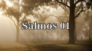 SALMO 01