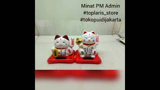 Kucing HOKI LUCKY CAT #toplaris_store #tokopuidijakarta #tokopatungonline