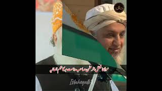 @Allaboutislam698 #Nanotvi ka lashkar 😌💫 with Deoband scholars name/ دیوبند علماء کے نام