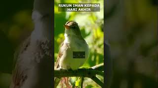 Rukun iman kepada hari akhir #doaanaksholeh #taubatannasuha ##shortsvideo #shorts