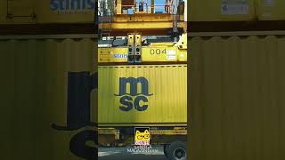 MSC Container Loading Crane Colombo Port #cect #ship #colomboport #cargoship #mscseashore #travel