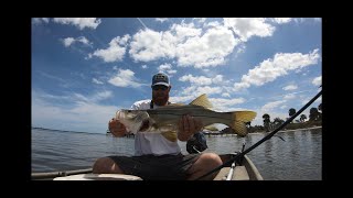 SNOOK AND REDFISH ,DOCK FISHING IN JON BOAT (CATCH CLEAN COOK)