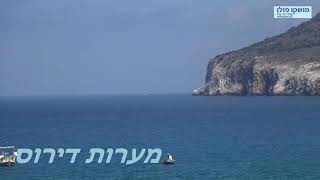 פולופונסוס - עם מושקו פולו - moshcopolo.co.il