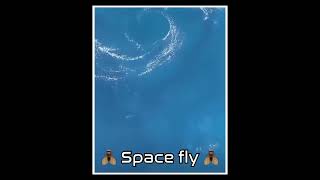 "Space" Fly 👉😂👈