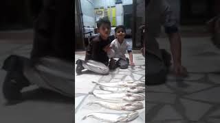 Fishing in River🐟دریا کا شکار🐟Catch Cat fish😱🐟 Subscribe my chenel😊 #fishing #hook #river #shorts