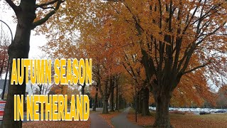 AUTUMN SEASON in THE NETHERLAND / PINAY IN NETHERLAND