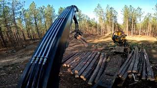 Loading CNC Pine Logs