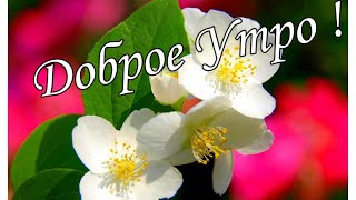 С ДОБРЫМ УТРОМ !🌼Желаю Самого Доброго Солнечного Утра!🌼  Шикарная Музыкальная открытка 🌼