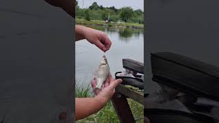 Perfect fishing date