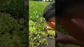 Recorrido de una muestra de agua para una análisis.