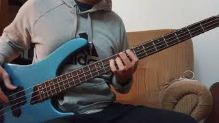 Testify - Rage Against the Machine (Raw Bass Cover)