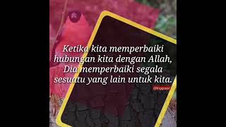 #muhassabah #motivasi #motivasidiri #motivasiislam #motivasisukses