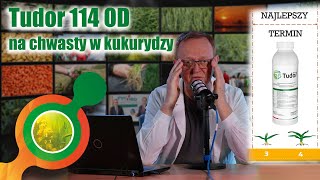 Tudor 114 OD - unikalny, wieloskładnikowy herbicyd nalistny do ochrony kukurydzy przed chwastami