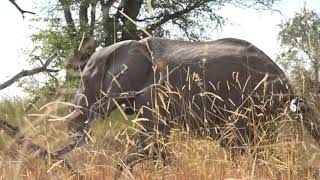 un tour du monde en 80 pays en voiture 4x4 afrique botswana Okavango 2