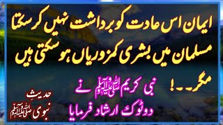 Zalim Ka Sathi Daera Islam Se Nikal Jata Hai | Hadees About Lie |  Pyare Hadees | AQH Official