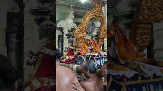 Lord Varadaraj Palaki Utsav | Kanchipuram | #shorts | HKM Mumbai Yatra