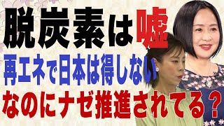 【日本の窮状】脱酸素は嘘 再エネで日本は得しない なのにナゼ推進されてる？