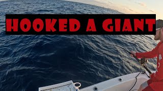 Hooked into a GIANT-Part 2 of the most INSANE half day trip EVER