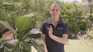 Give mozzies the slap with iCAP - DEMAND® 100CS Insecticide