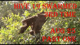 Hive 19 Swarmed 3rd time Aug 25 Part One