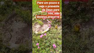 #tudo que Deus faz é perfeito #