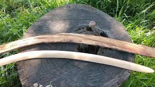 Primitive hunting kit, throwing stick.