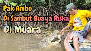 Pak Ambo Di Sambut Buaya Riska Di Muara