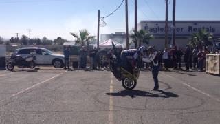 Barnett BMW Motorcycles | Grand Opening | Stunt Rider - 7