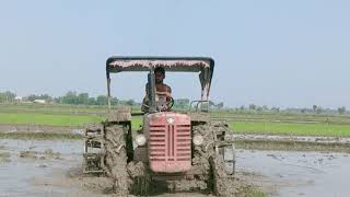 Mahindra 265 tracter performance with harnes in the field