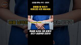 이것 제대로 못하면 허리 백퍼 아픔 #뱃살빼는운동 #중년뱃살 #갱년기운동