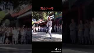 Shaolin Kung Fu