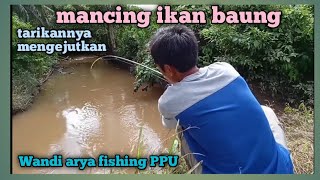 MANCING IKAN BAUNG SUNGAI part 3