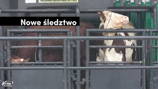 Śledztwo - Rzeźnia w Kole