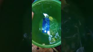 my phone drop in water. phone ko pani se kaise bachaye ? how to make viral videos?#shorts#viral