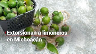 EXTORSIÓN A LIMONEROS | Se registra un incendio en una empacadora de limón en Michoacán