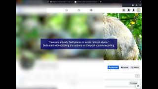 Reporting Baby Monkey Abuse on FB (or ALL animal abuse)