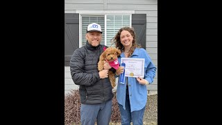 Daisy's Puppy Head Start™ Board & Train | Boise Puppy Training