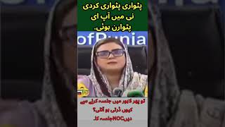 پٹواری پٹواری کردی نی میں آپ ای پٹوارن ہوئی۔ PMLN